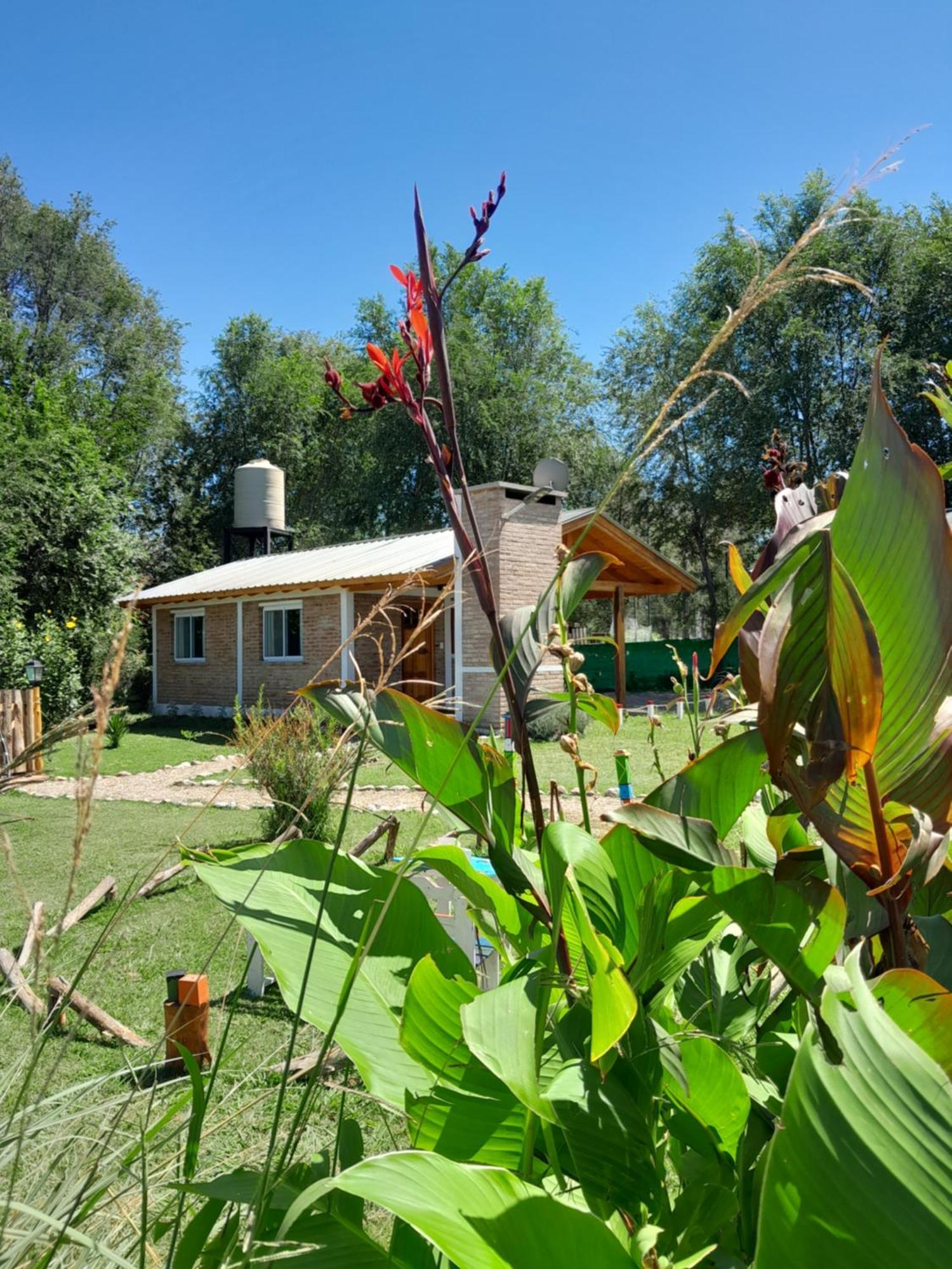 Cabanas El Cardon Santa Rosa de Calamuchita Kültér fotó